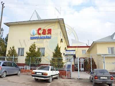 Сая Сарыагаш