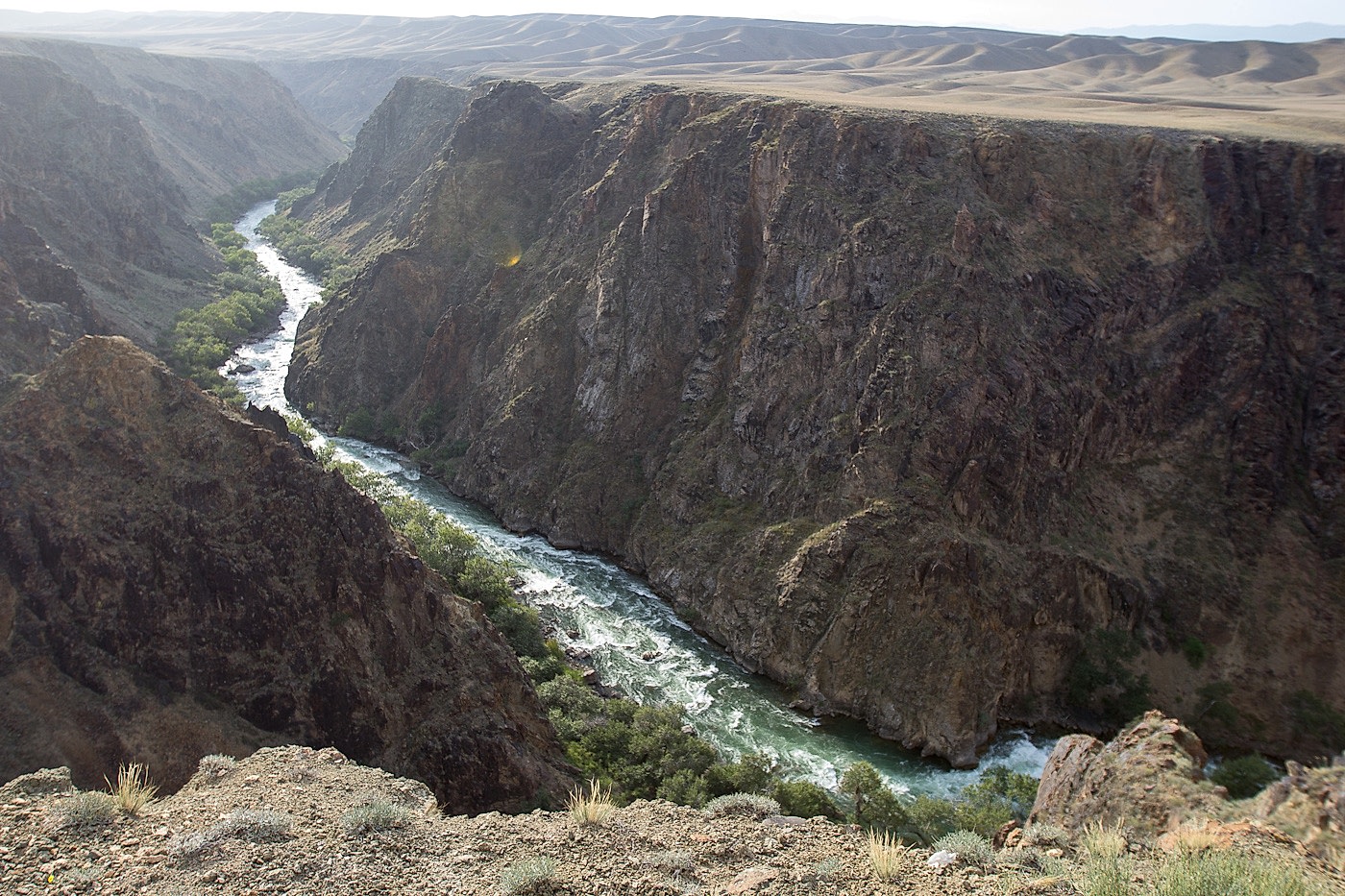 48666582363_cc1da3458b_o