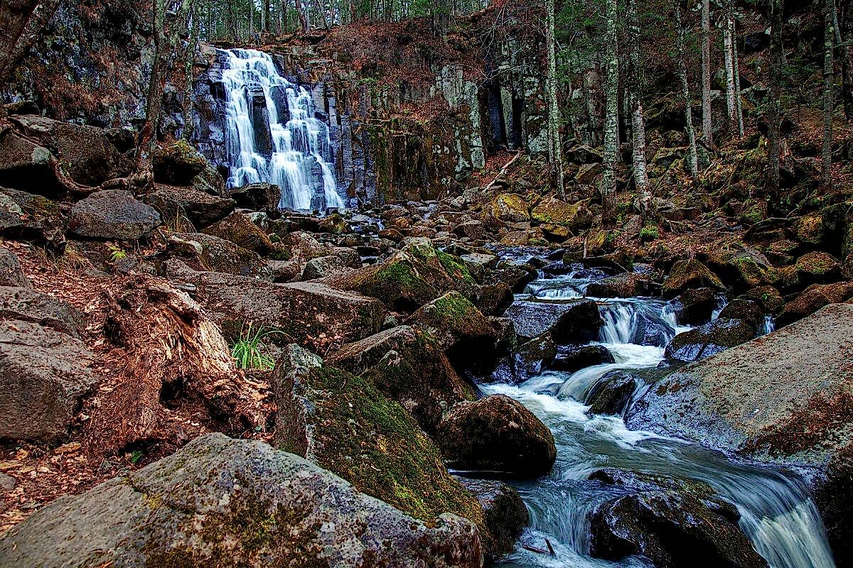 b033a42f1593c7caacc996e0fd45e5d9