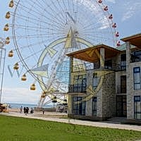 Территория - Дельфин Делюкс